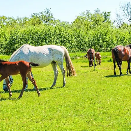 Holiday home 1 Bedroom Cozy In Udenhout