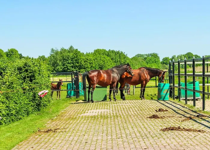 1 Bedroom Cozy In Hébergement de vacances