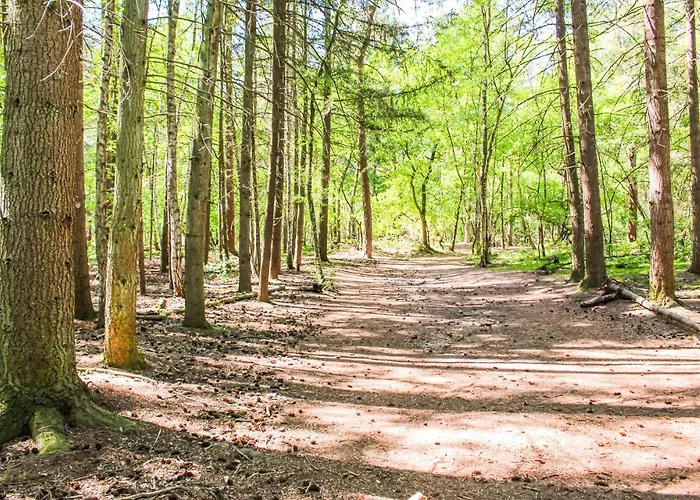 1 Bedroom Cozy In * Udenhout