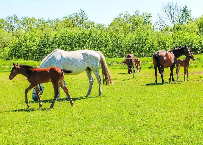 Tatil Evi 1 Bedroom Cozy In Udenhout